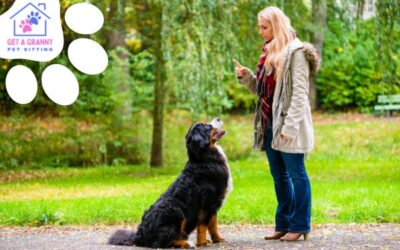 Your Guide to Selecting a Dog Trainer: What to Look For and What to Ask