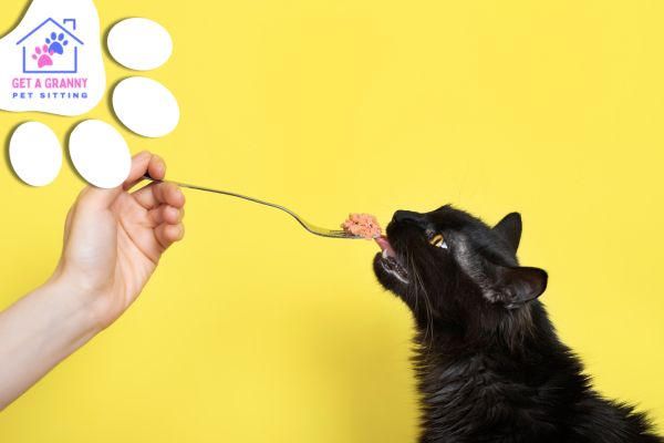 Raw Diet for Your Cats. Is it Good for Them?