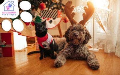 Keeping Your Pets Safe for the Holidays