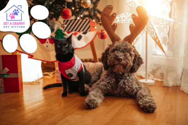 Keeping Your Pets Safe for the Holidays